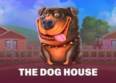 The dog house
